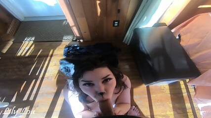 Kitty Cat Lily Lou POV