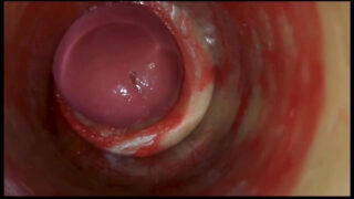 Genç amatör transvestitlerin elbiseler içinde büyük penisleri okşadıkları, ardından yoğun anal boşalma ve meni akıtma sahnelerinin yakın çekim derlemesi.