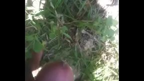 trim.76692A9B-CF33-4A81-8453-7D1A9016DA71.MOV