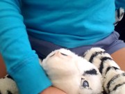 Humping several plushies till im not horny