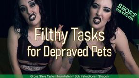 FILTHY TASKS FOR DEPRAVED PETS - Short - Nasty, Gag-Worthy Submissive Slave Tasks by Goth Girl Miss Faith Rae with Humiliation and Face Fuck Instructions - MKV