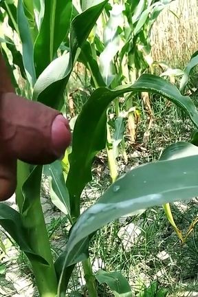 Handjob in Outdoor and Cumshot on Leaf, Big Cock