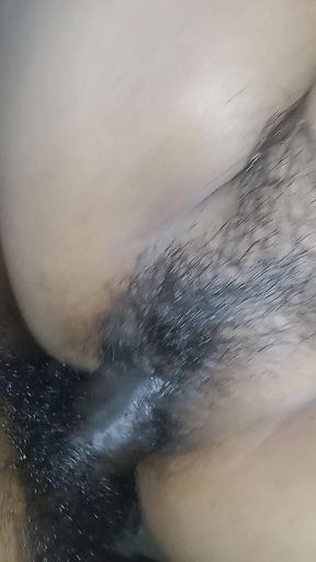 Rasili chut