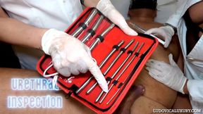 URETHRAL INSPECTION -hd