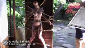 Japanese hottie bound in gripping Shibari ties takes a erect shaft completely inside her.