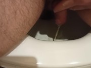 morning toilet