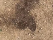 Outdoor piss #3 • backyard