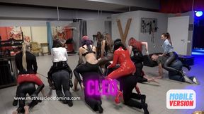 Cleo Domina - 7 Ponyboys for 7 Mistresses-MOBILE VERSION