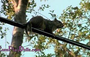 Red hot girl on girl 2