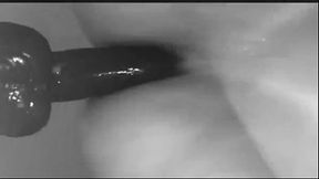 Dildo--Visit xxgaycams.com for more hot webcam guys