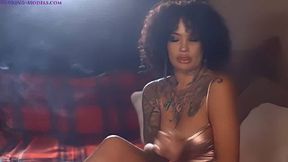 Elegant - Phoenix Knight