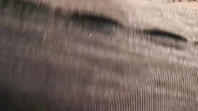 Tommy Poulain and his stepbrother are enjoying in each other's prick