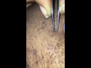Plump Pubic Pussy Pluck