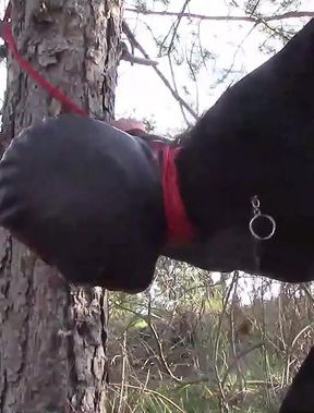 1 hour compilation hard fucking in high heels, lot of screams, moanings and orgasms