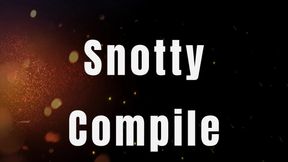 Snotty Compile