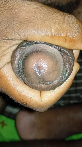 Desi boy master