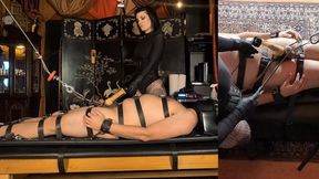 Miss Bat's Rigged Up Cock