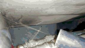 Powerful web suction by my beloved Thomas WMV