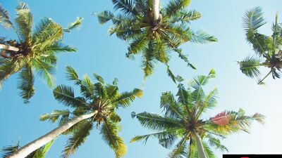 Beat The Heat Compilation - Hot Hunks & Jocks Fucking Hard