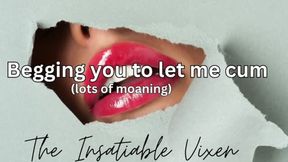 Begging you to let me cum