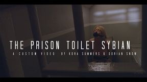 The Prison Toilet Sybian