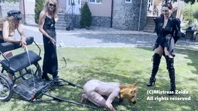 Slapping the PUSSY of the PONYGIRL - Lezdom