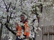 It smells nice of cherry blossoms