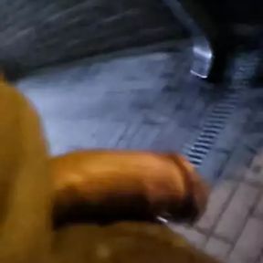 flashing and pissing at train station