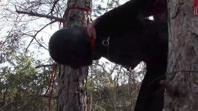 half an hour compilation of a milf fucked doggy style with repeated orgasms