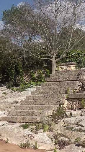 Outdoor Exercise Ball Gangbang with Dripping Creampie Overload