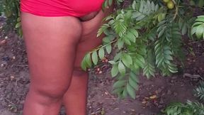 crente safada colhendo frutas