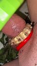 Pump Nettles penis dog toy fuck Cbt play hardcore Nettle