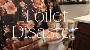 Toilet Disaster