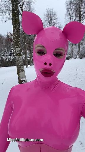 Snow Piggy