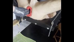 So wird Toms Arsch mit dem Pighole geweitet