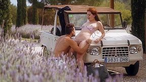Provence - Anastasia Stone