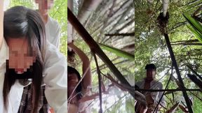 chịch len trong bụi tre lang