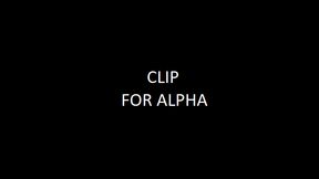CLIP FOR ALPHA