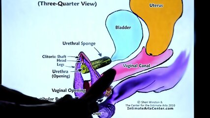 Squirting tutorial all posses