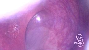 travel inside my huge ass cave