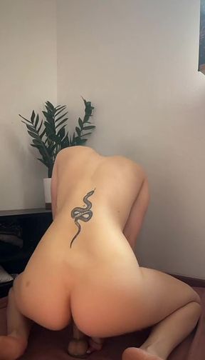 Free access to exclusive OnlyFans content