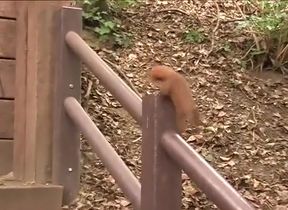 Claire in a Picture and Fuck Session Outdoor