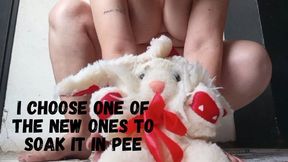 I choose one of the new ones to soak it in pee