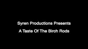 A Taste Of The Birch Rods (MOV)