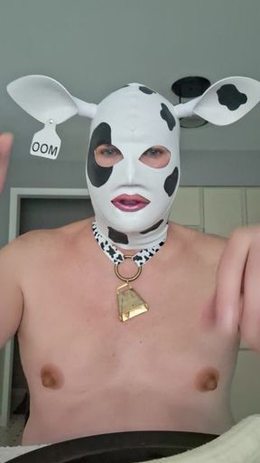 I am a hungry hungry HUCOW! Will you feed me?