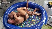 Interracial Bareback OIL WRESTLING & FUCKING