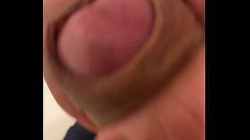 Pekeshow1620 - update #18 - IMG 0730 - Apr 12, 2025