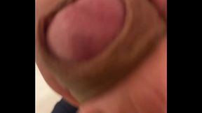 Pekeshow1620 - update #18 - IMG 0730 - Apr 12, 2025