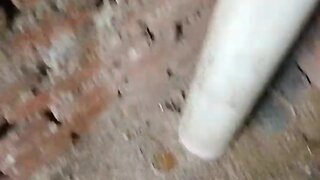 Message for those seeking to date women and girls on telegram