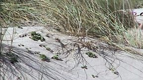 Hot Brunette Naked in the Dunes